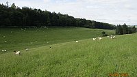 >SLOD- NORTH COUNTRY MULE THEAVES >SLOD- NORTH COUNTRY MULE THEAVES